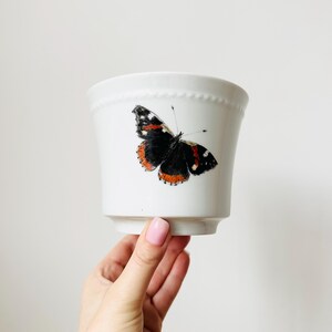 May include: White ceramic plant pot decorated with a butterfly illustration. The butterfly has black, orange, and white wings. The pot has a flared shape and a beaded rim. The pot is held by a person.