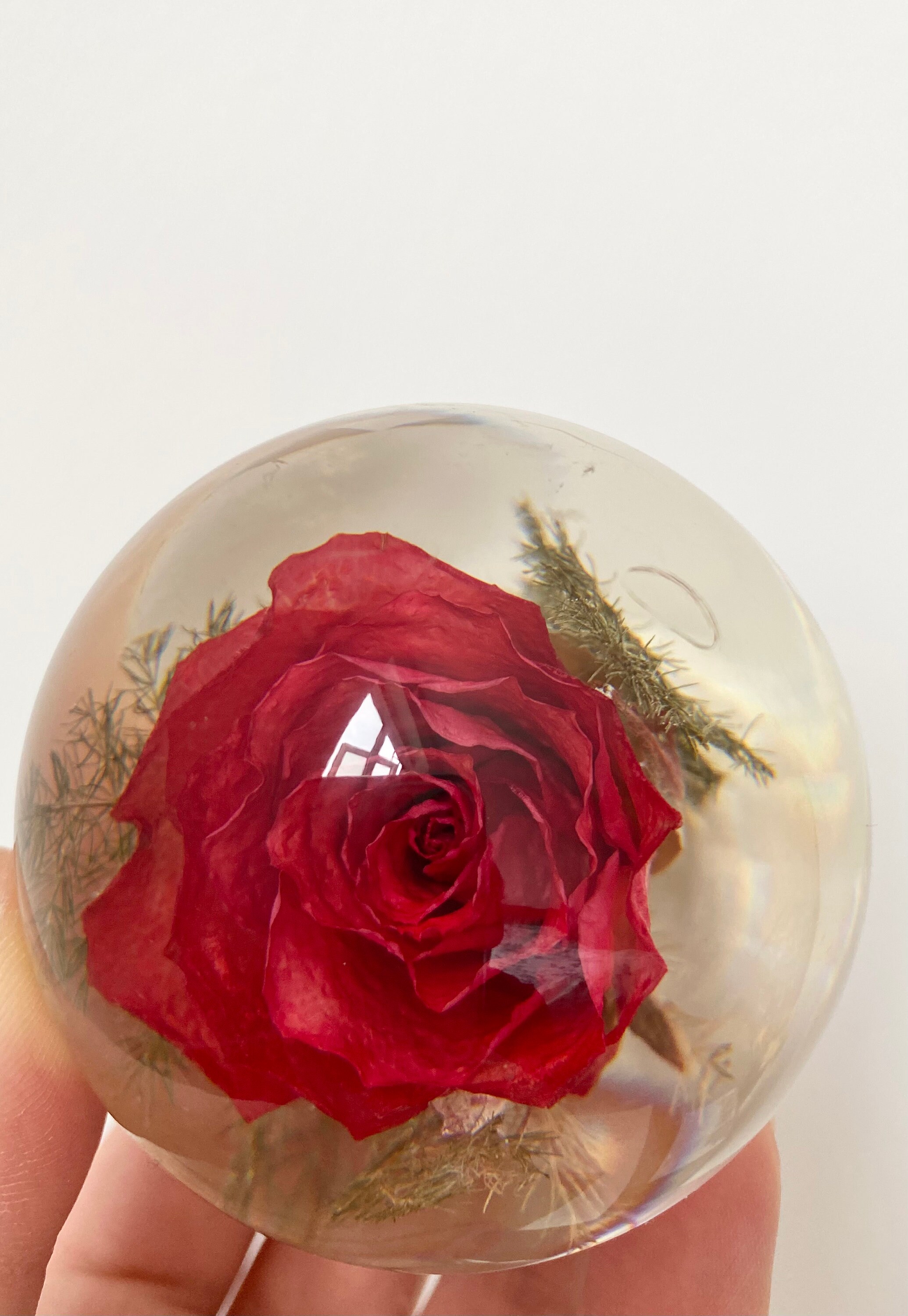 Vintage Hafod Grange Red Rose in Resin Paperweight Resin Etsy