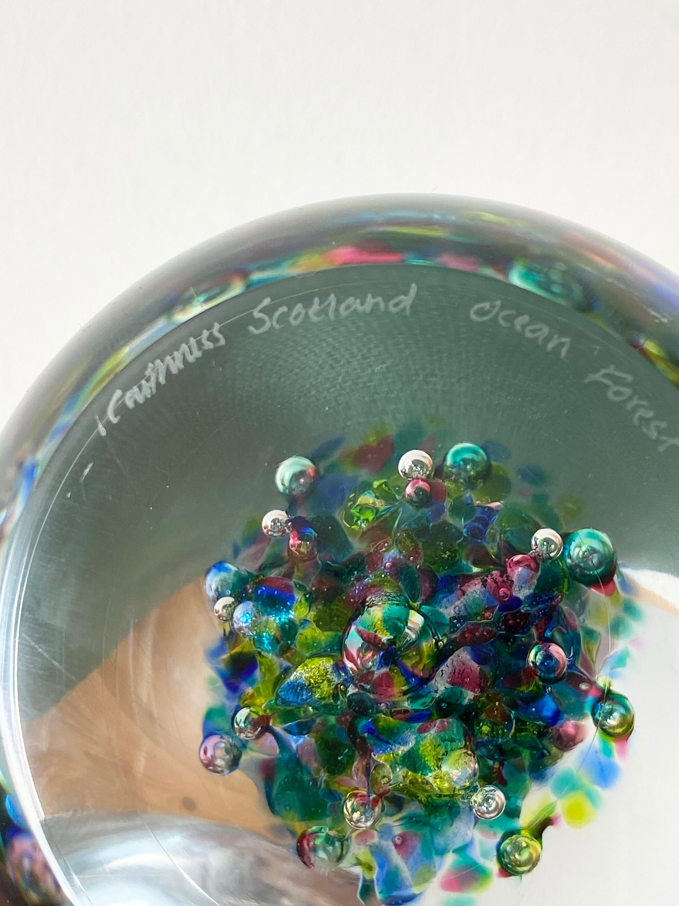 Very Rare Caithness Glass Ocean Forest Paperweight Limited Etsy