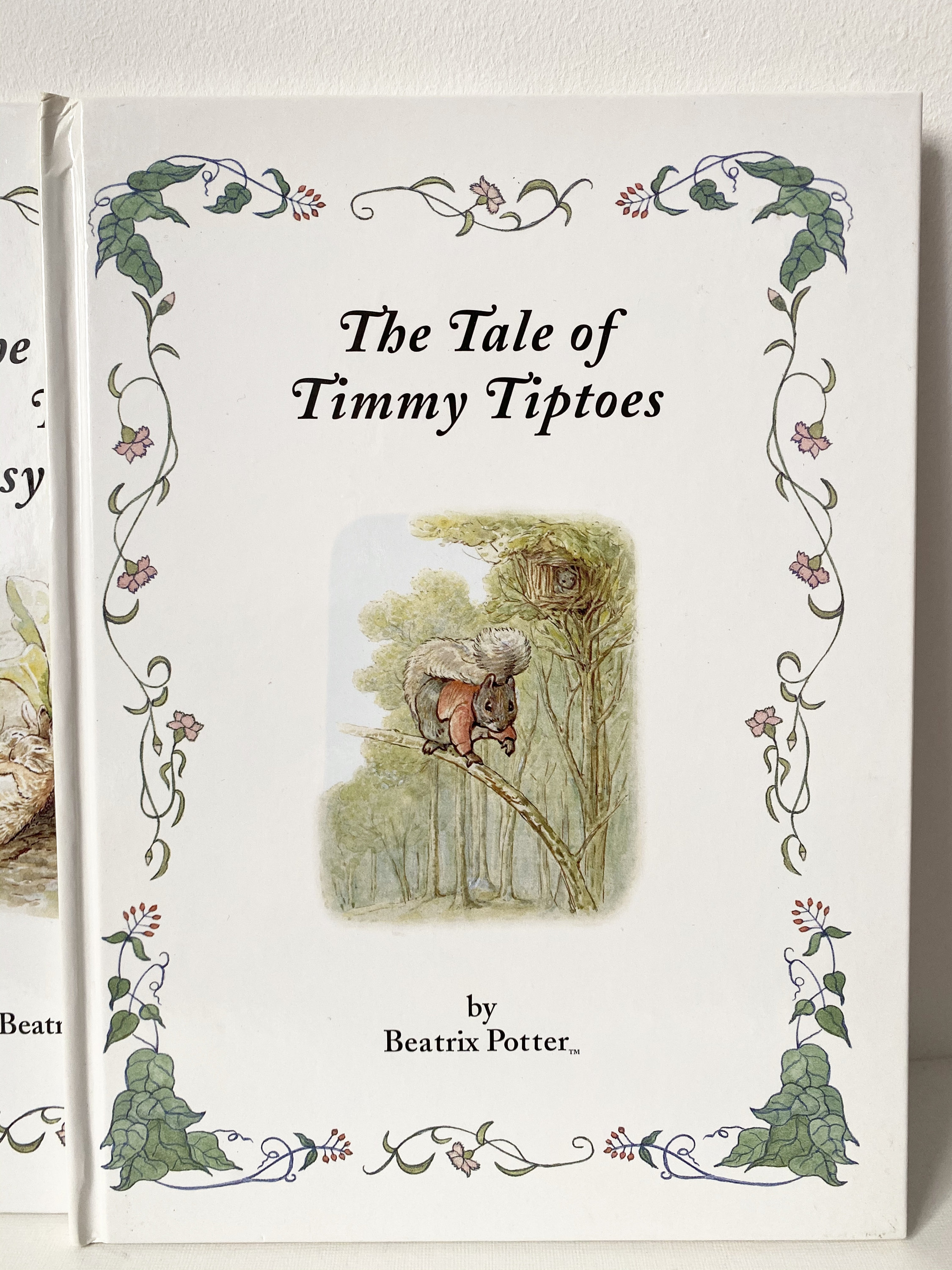 Beatrix Potter Tales Books for Children | Etsy