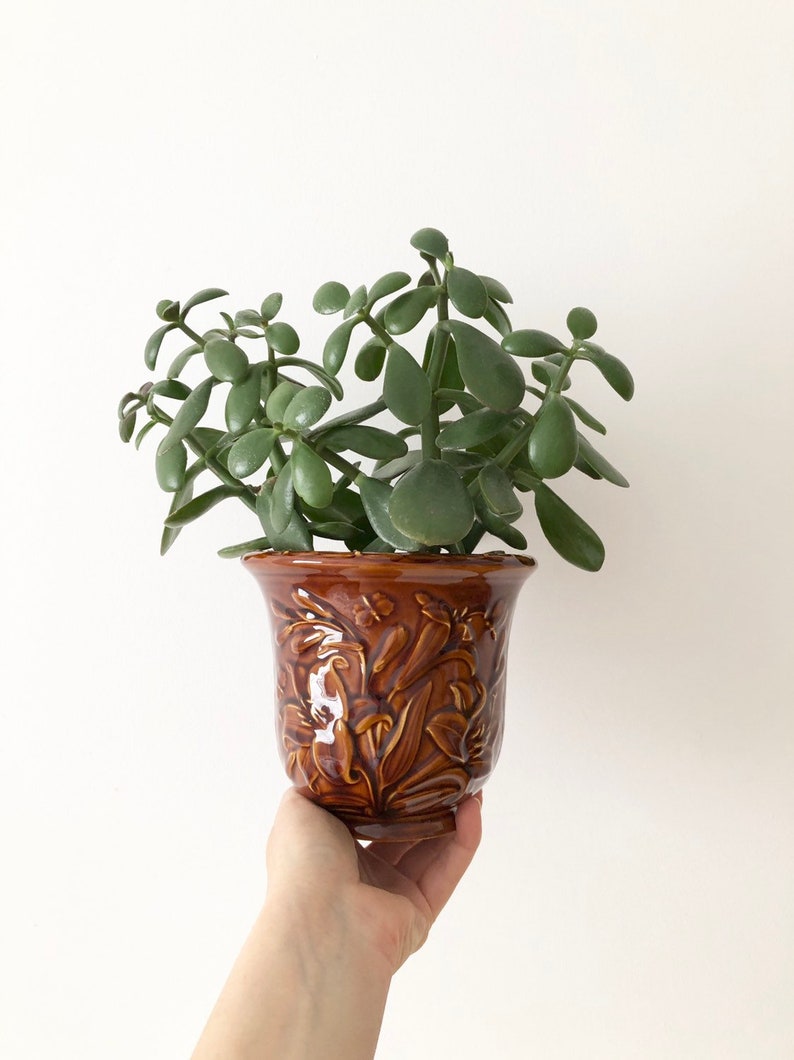 Plant Pot Portmerion Vintage Planter Vintage Brown Glazed Ceramic Planter Retro Planter from the 70s