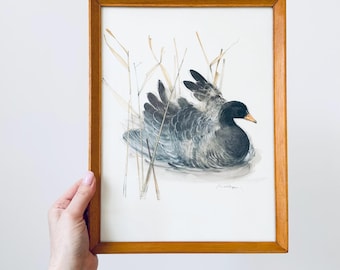 Framed Mads Stage Duck Print, Large Print