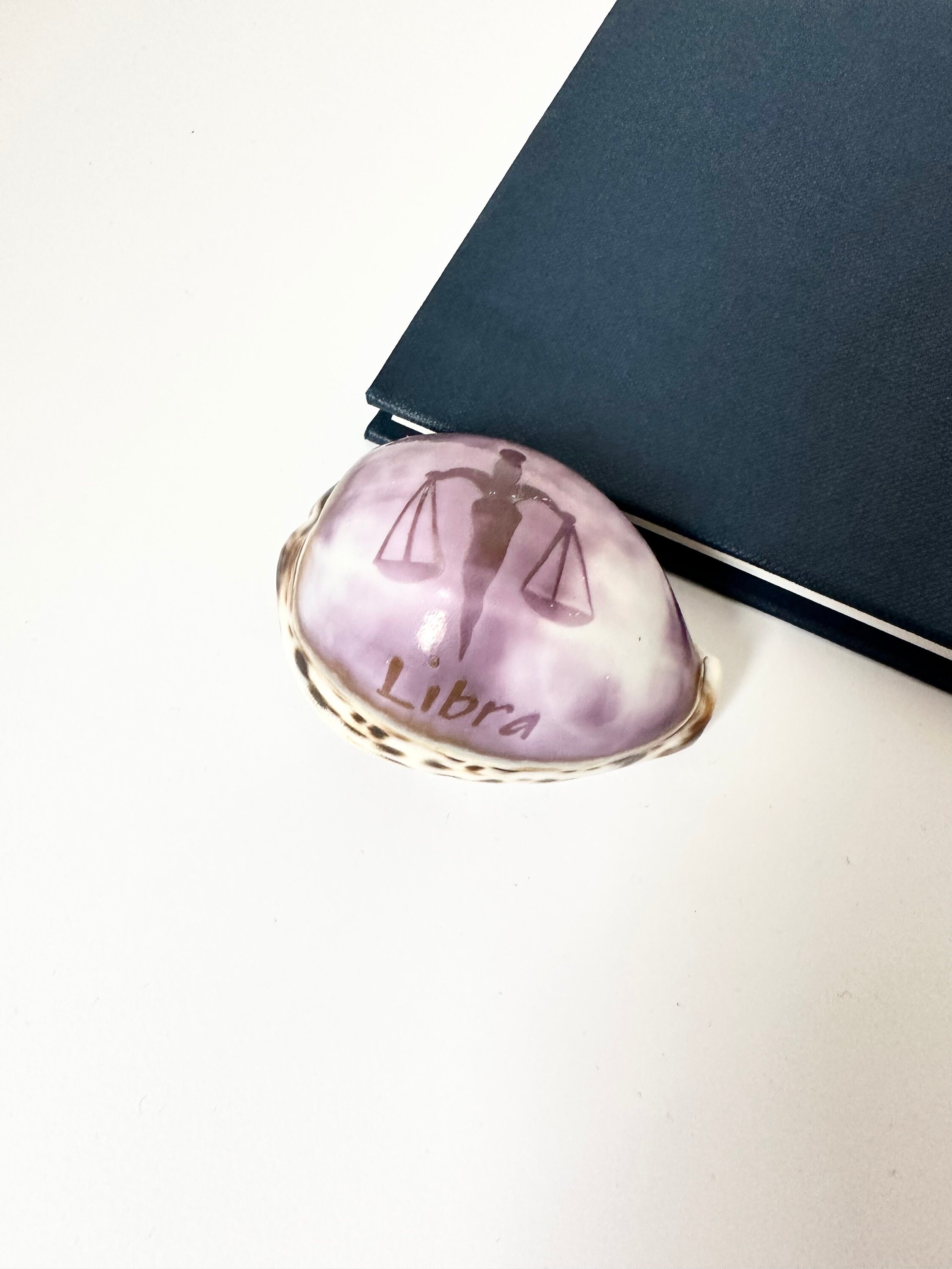Libra Zodiac Tiger Cowry Shell, Shell Art, Purple Sea Shell With Star Sign, Unique Gift