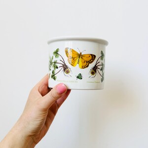 Peut inclure: Un pot de fleurs en céramique blanche orné d'un papillon jaune et d'illustrations botaniques vertes. Le pot porte les inscriptions "Potentilla Erecta" et "Common Tormentil". Le papillon a des marques marron.