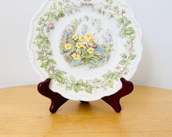 ブランブリーヘッジ　'WARD BOUND'  20㎝　プレート ブランブリーヘッジ 'WARD BOUND' 20㎝ プレート ブランブリーヘッジ