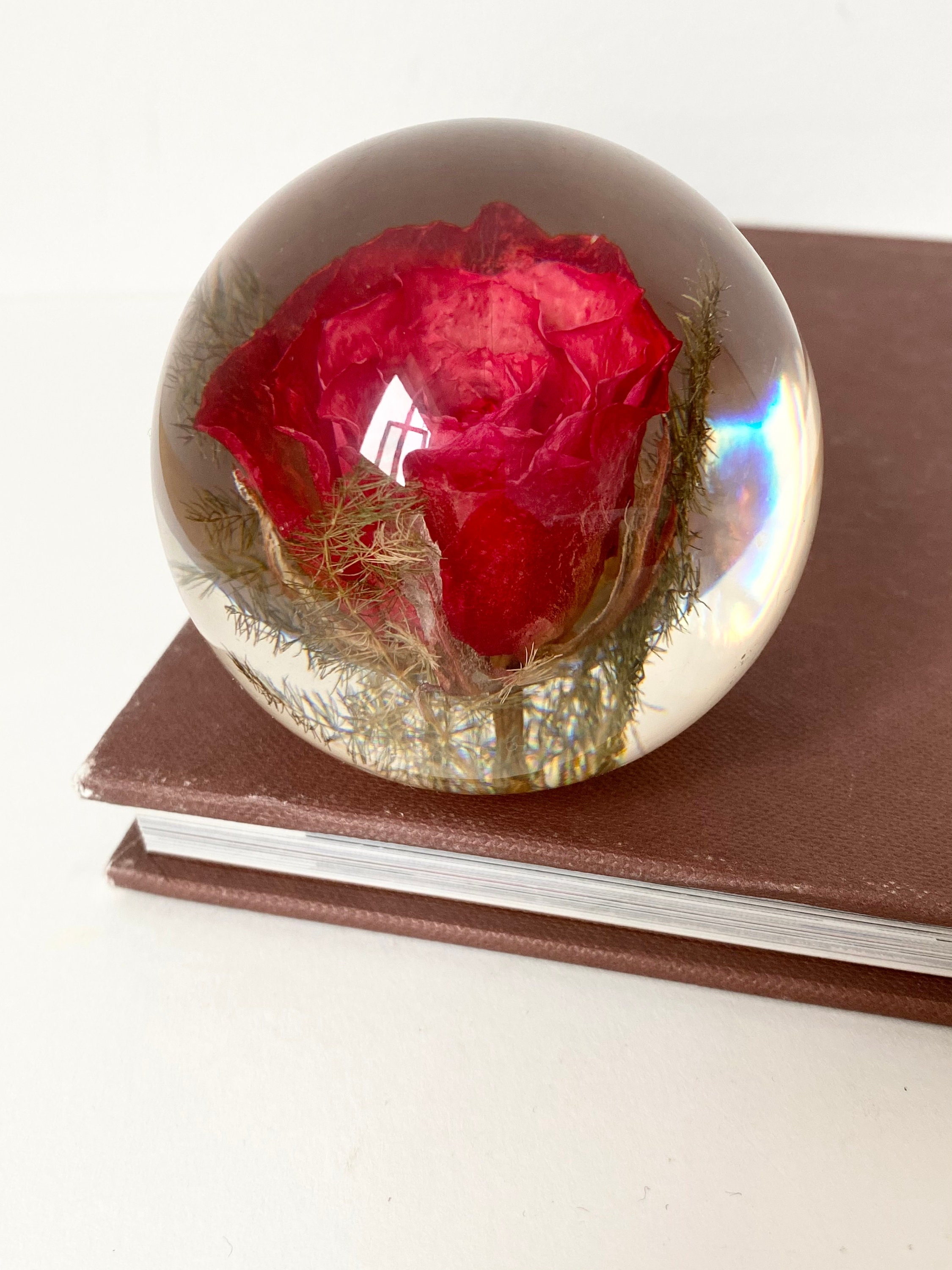 Vintage Hafod Grange Red Rose in Resin Paperweight Resin Etsy