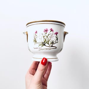 Princess Royale Fine Bone Cachepot, Plant Pot