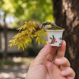 May include: A miniature bonsai tree in a small white ceramic pot with a bird design. The bonsai has vibrant green and yellow leaves and a curved trunk. The pot is held in a hand, with a blurred green background.