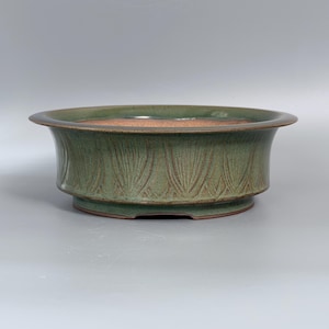 Puede incluir: Una maceta redonda y baja de cerámica para bonsái con un borde ancho y plano. El exterior presenta un esmalte verde salvia mate con un patrón de hojas talladas verticalmente. El interior y la base revelan una arcilla de terracota cálida.