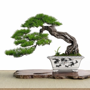 Handgedraaide Inkt Emaille Kraan & Dennen Bonsai Pot Antieke Stijl Chinese Porselein Planter Studio Art Rechthoekige Bonsai Container