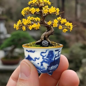 Hand-Thrown Underglaze Blue & White “Sea Horse” Bonsai Pot | Ming-Style Porcelain Mini Planter | Dade Hall Mark | Certificate Included