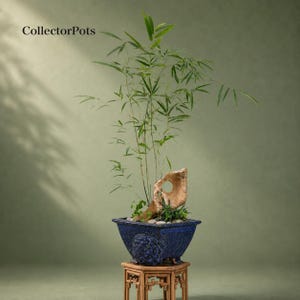 May include: A tall bamboo plant with thin green leaves potted in a deep blue ceramic planter with a textured surface. The planter features a decorative relief design and sits on a small wooden stand. A piece of light brown driftwood is inside.