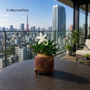 May include: A brown ceramic pot with three small feet and a textured floral relief design, containing a green succulent plant with a single white flower. The text CollectorPots is visible in the upper left corner of the image.