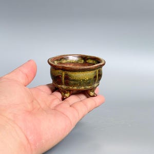 Può includere: Un piccolo vaso per bonsai in ceramica, di forma arrotondata e con tre piedini. Il vaso ha un bordo marrone e una smaltatura screziata nei toni del verde, marrone e giallo. Il vaso è tenuto in mano su sfondo grigio.