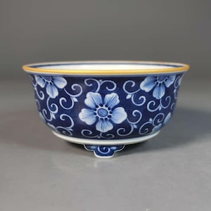 Una maceta de porcelana azul y blanca finamente elaborada, decorada con la técnica 'Fen Shui' y motivos de hibisco.