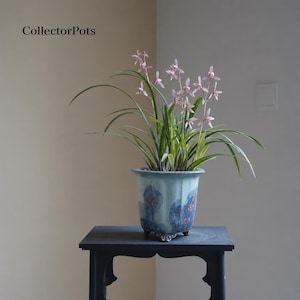 Jun Kiln Nebliger Blauer Ink-Wash Flambé-Glasur-Melonen-Gerippter Sonnenblumen-Rand-Orchideen-Topf