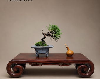 Jun Kiln Sky Blue Gold-Splashed Glaze Chamfered Begonia Bonsai Pot with Beast Feet