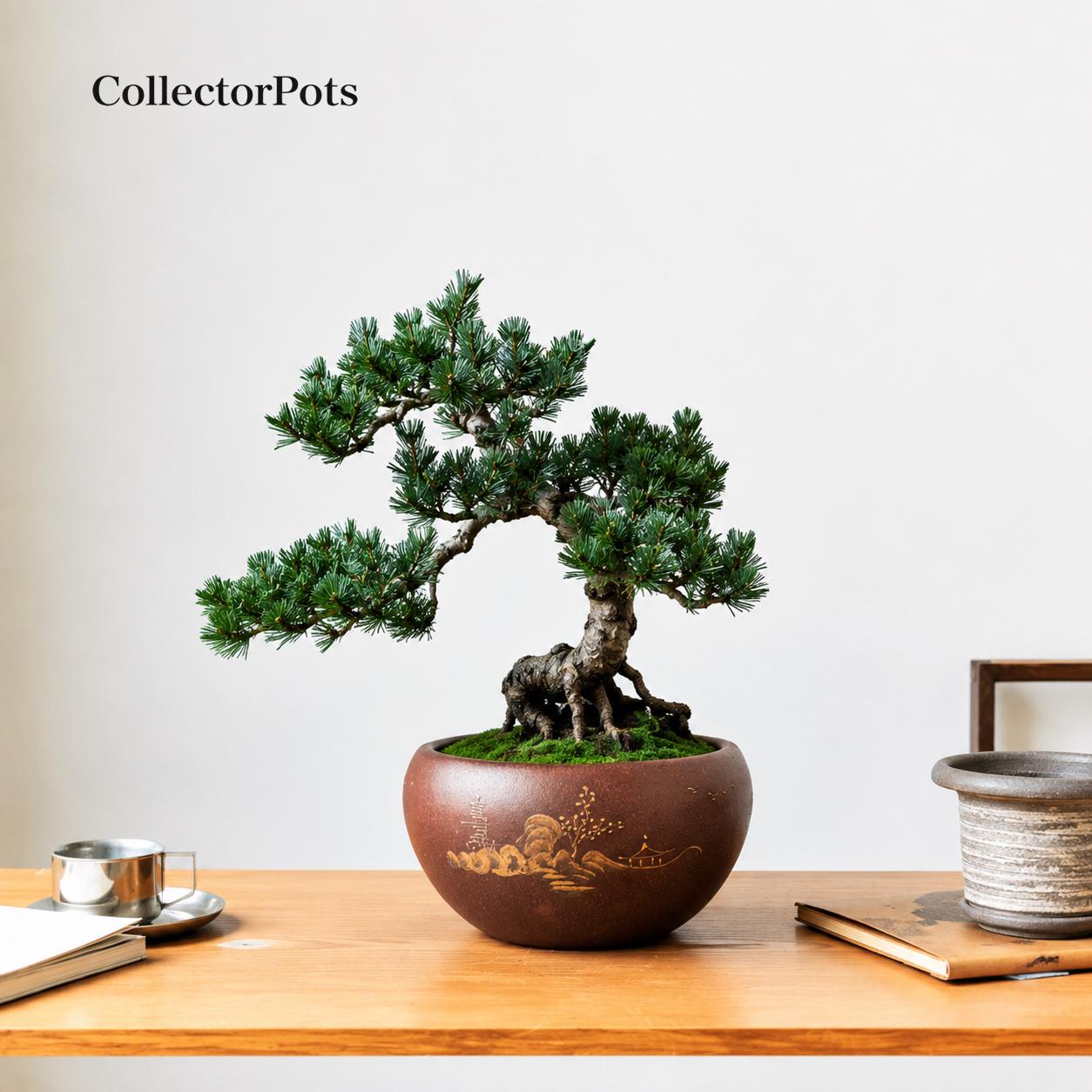 Literati bonsai - Etsy.de