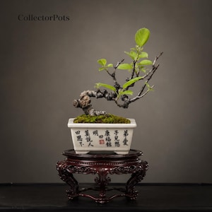 Handwritten “Jiangshang Tie” Calligraphy Soft-Corner Rectangular Horse-Trough Bonsai Pot Inspired by Su Shi