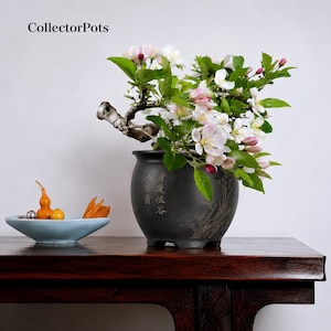 Op de afbeelding: Een donkergrijze keramische pot met gegraveerde Chinese karakters en een plant met witte en roze bloesems. Naast de pot staat een lichtblauwe ondiepe kom met een kleine oranje kalebas, een gele vrucht en een stukje gedroogde sinaasappelschil.