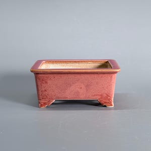 Puede incluir: Una maceta rectangular de cerámica para bonsái con un esmalte exterior en tono rosa polvoriento y un interior liso de color claro. El recipiente presenta un borde plano y grueso con un matiz amarillento y cuatro patas cortas.