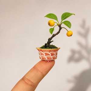 May include: A miniature bonsai tree with bright green leaves and two yellow fruits. The tree is planted in a small, ornate red and white patterned pot. The pot is held on a finger, showcasing its small size.