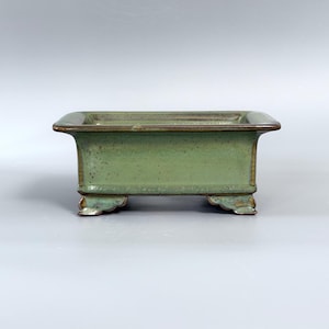 Könnte beinhalten: Ein rechteckiger Bonsai-Topf aus Keramik mit einer salbeigrünen Glasur und einem dunkelbraunen Rand. Das Gefäß verfügt über einen breiten, flachen Rand, gerade Seiten und vier dekorative, geschnitzte Füße an der Basis. Die Glasur hat eine subtile, gesprenkelte Textur.