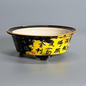 Hand-Painted Underglaze “Jinhuidui” Shallow Round Bonsai Pot