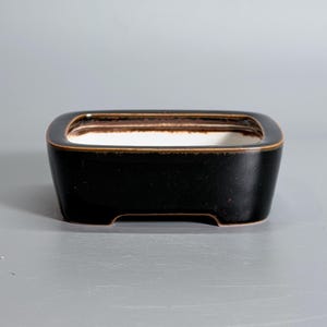 May include: A rectangular ceramic bonsai pot with a glossy black exterior and a contrasting white interior. The rim features a thin, warm brown glazed edge that highlights the rectangular shape and the four small feet at the base.