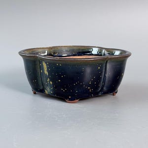 May include: A low, scalloped ceramic bonsai pot with a dark navy blue glaze featuring gold-toned speckles and a smooth, glossy finish. The bowl-shaped vessel has a wide, open top, a rounded rim, and is supported by three small, unglazed terracotta feet.