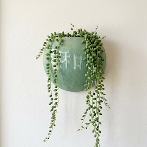 May include: A light green, wall-mounted ceramic planter with trailing green string of pearls plants. The planter has embossed text and a rounded shape, creating a minimalist aesthetic. The plant's cascading vines add a natural touch.