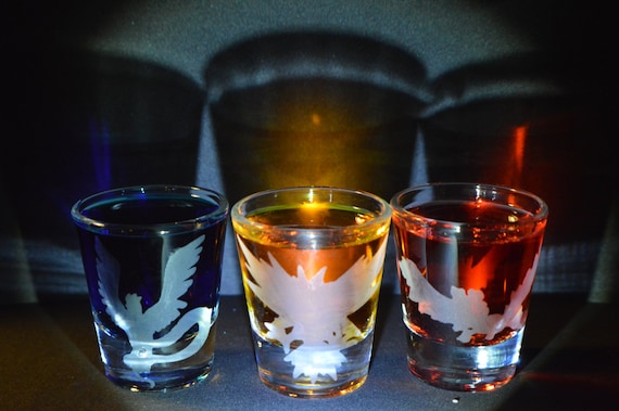 Pokemon Legendary Birds etched shot glass set of 3 fan art