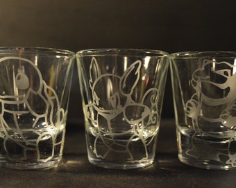 Squirtle, Warturtle, Blastoise engraved shot glass set of 3