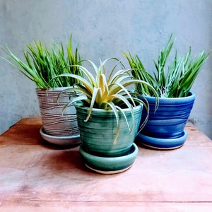 May include: Three potted plants on a wooden table. The plants are in ceramic pots with different colored glazes. The pots are all different sizes and shapes. The plants are all green and leafy.