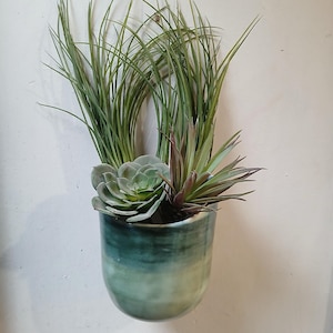 Puede incluir: Un macetero de cerámica para pared con un esmalte verde azulado degradado, que contiene una variedad de suculentas y pastos artificiales. El arreglo incluye una suculenta verde, una planta rojiza-verde y hierbas verdes largas.