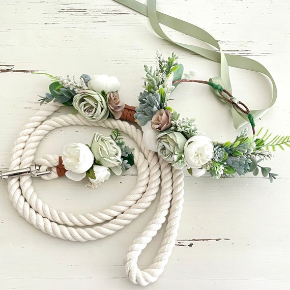 Off white dog leash and cheap collar