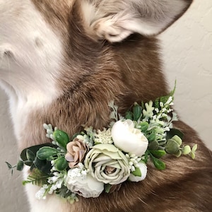 Greenery Dog flower collar, dog flower crown, greenery white ivory flower wreath, flower crown, dog flower wreath, dog flower collar