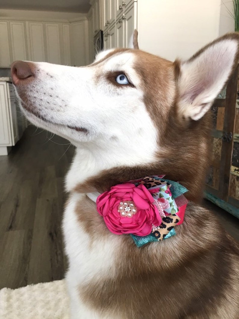 Maximalist Dog Collar Flower Over the Top Dog Collar Flower Etsy