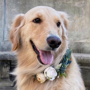 Greenery Dog flower collar, dog flower crown, greenery white ivory flower wreath, flower crown, dog flower wreath, dog flower collar