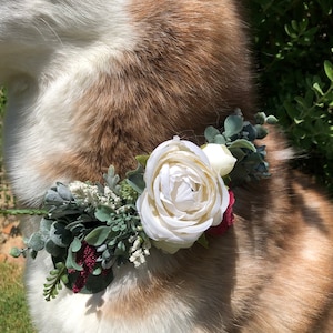 Dog flower collar, dog flower crown, burgundy wine silver dollar eucalyptus wreath, flower crown, dog flower wreath, dog flower collar
