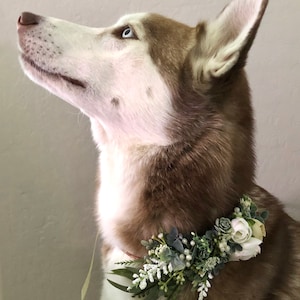 Greenery Dog flower collar, dog flower crown, Engagement photos, Pet Supplies, dog flower wreath, Wedding & Party