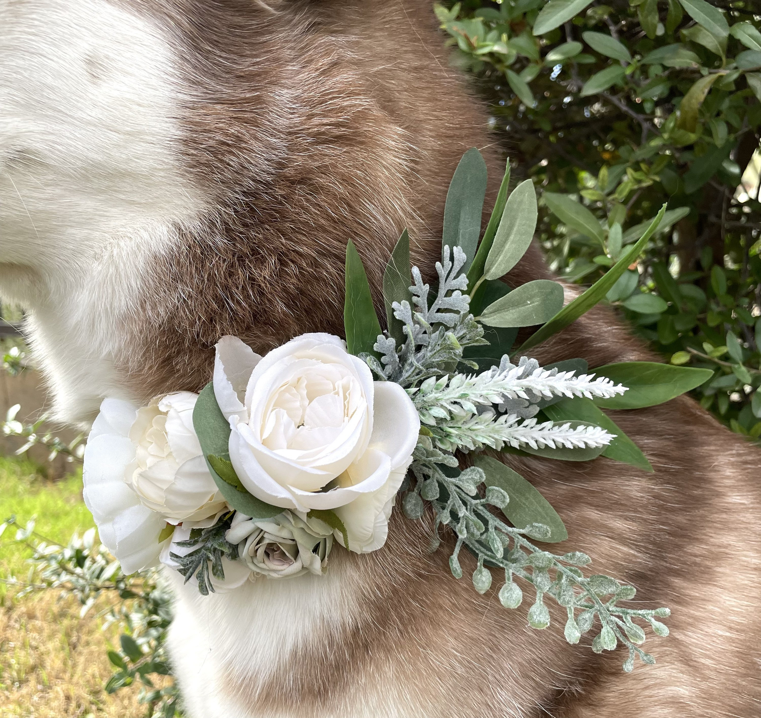 Wedding Collar Dog Etsy
