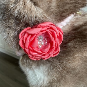 ROSE Flower Collar Easy Clip On Accessory (3 inches) for Dogs and Puppies