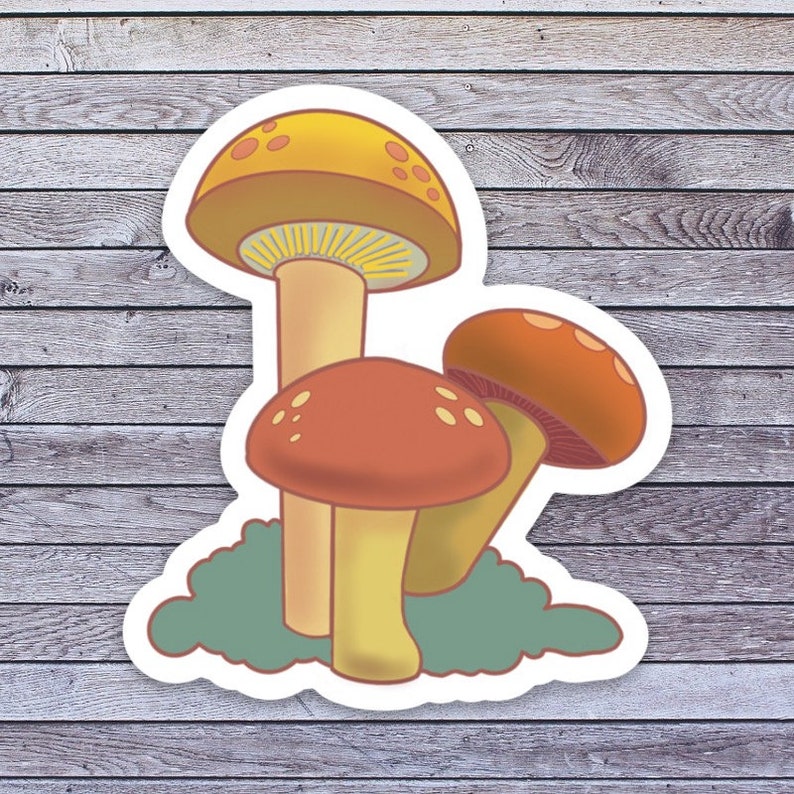 MUSHROOMS sticker water proof vinyl for water bottle laptop phone case journal scrapbook collect self adhesive retro earthy nature woods image 1