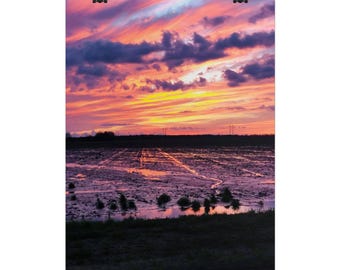 Póster de Campo Inundado al Atardecer / Lámina Enrollada, Cielo Naranja Púrpura Vibrante, Decoración de Pared de Paisaje
