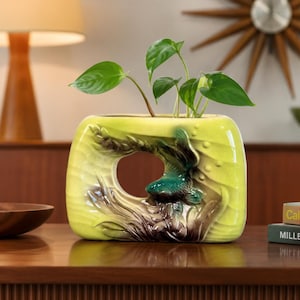 May include: A rectangular ceramic vase with a central circular opening, featuring a glossy chartreuse glaze and a relief sculpture of a dark teal fish swimming among brown aquatic plants, containing a small green plant with several leaves.