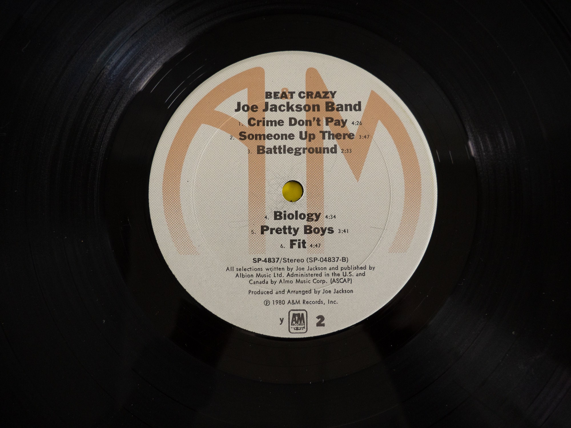 洋楽 THE PLAYINGBEATLES il_fullxfull.4804934283_r4tl.jpg