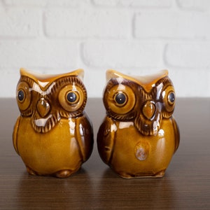 Vintage 70s Ceramic Owl Salt and Pepper Shakers Retro Kitchen Decor