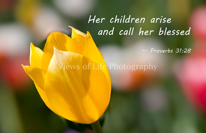 More Than a Card--Her Children Arise and Call Her Blessed--Mother/'s Day--New Mother