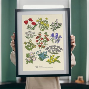 Irische Blumen Studie - Print